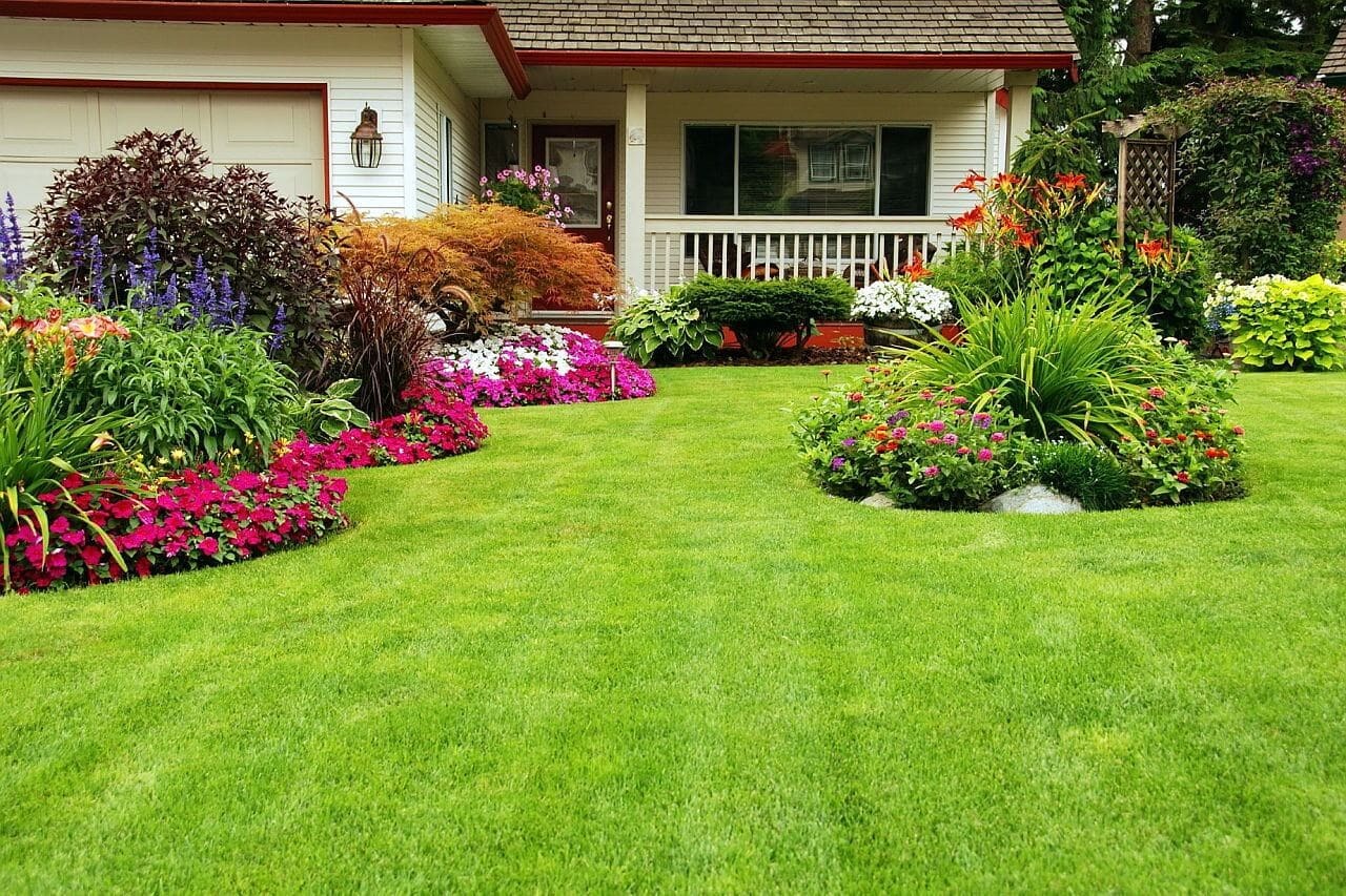 <span style="font-weight: bold;">Газоны</span>