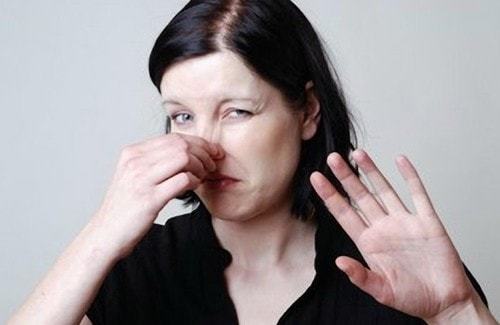 <span style="font-weight: bold;">Дезодорация</span> 